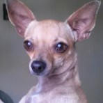 Chiki